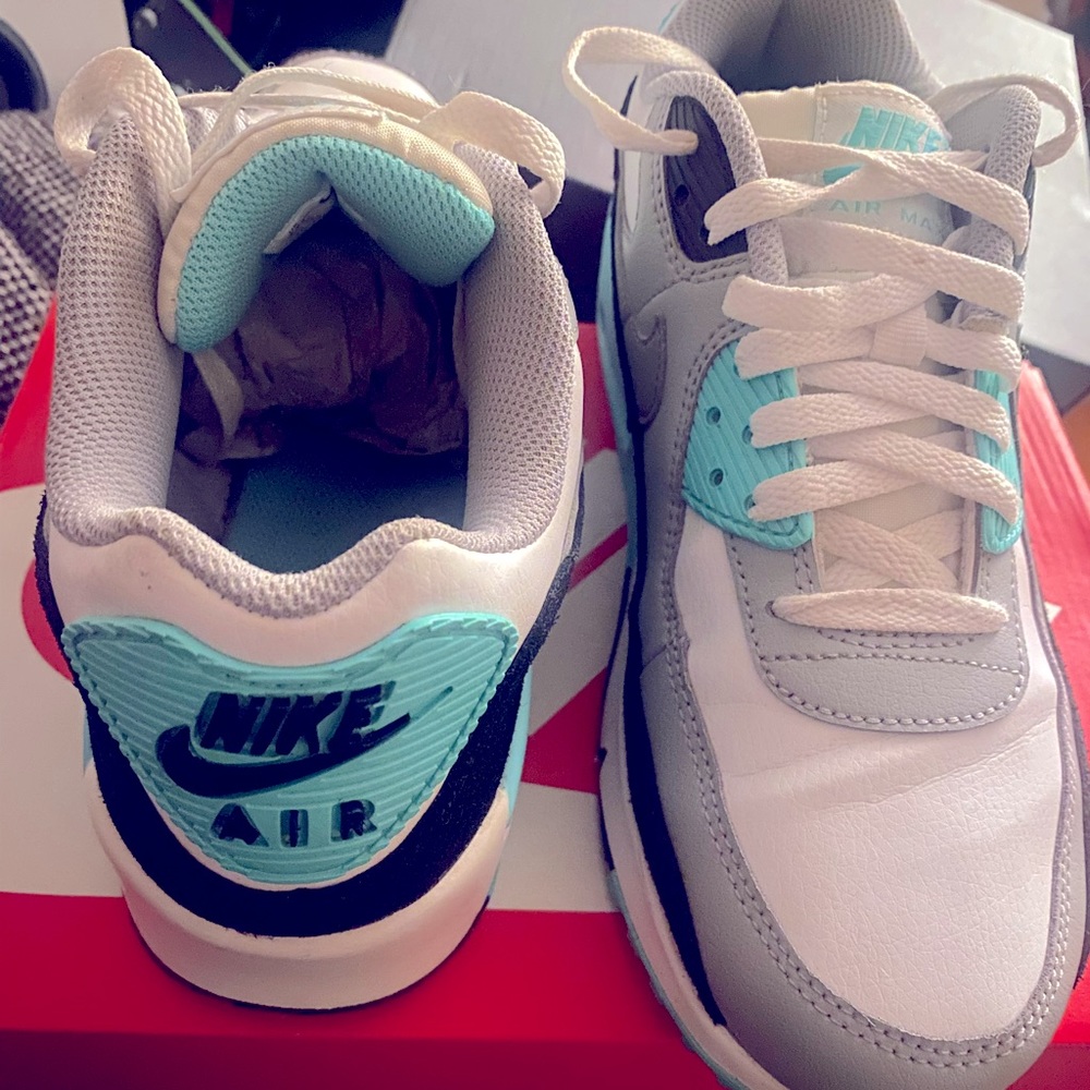 Nike AirMax 90 Ltr